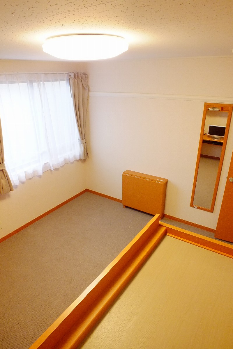 レオパレスレミナール並木210号室 2Ｆはじゅうたん