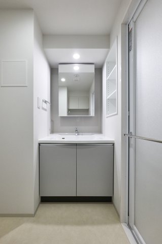プラウドフラット墨田曳舟ディアージュ303号室 洗面