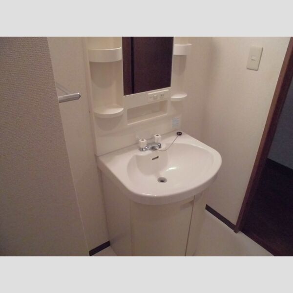 シャンティオン203号室 洗面化粧台