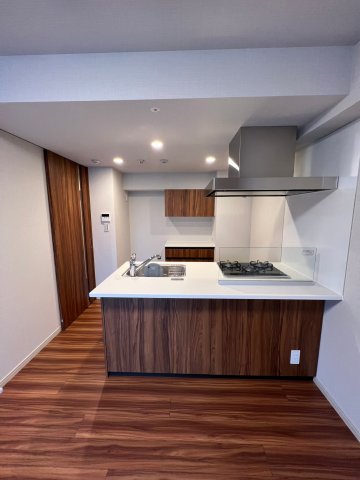 DIPS上野NORTH1003号室 キッチン