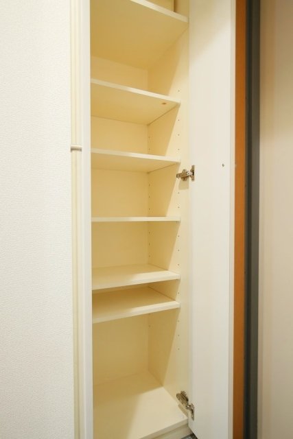 スカイコート・ヴィーダ五反田ウエスト2階 靴入