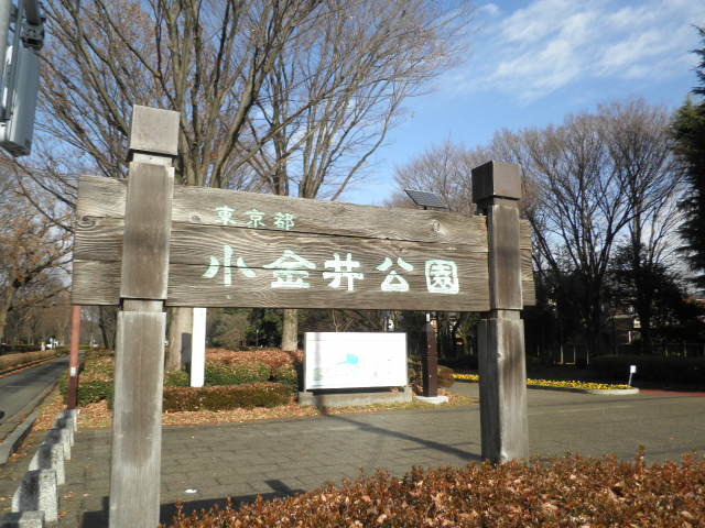スカイフィールドⅡ0303号室 都立小金井公園