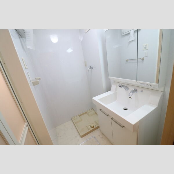 サンライズヒル　A202号室 洗髪洗面化粧台