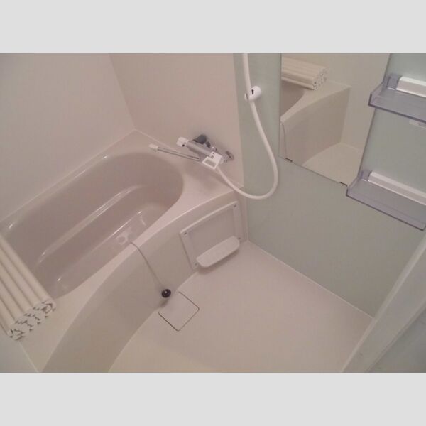 PLUM　VILLAGE209号室 浴室