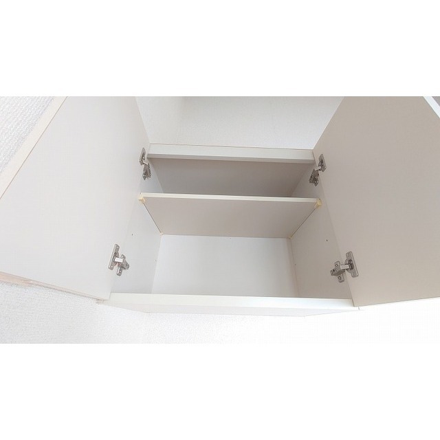 ライフピア松ノ木Ａ棟0204号室 収納