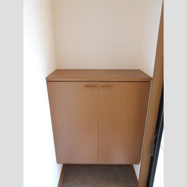 サウスメゾン　A201号室 シューズボックス