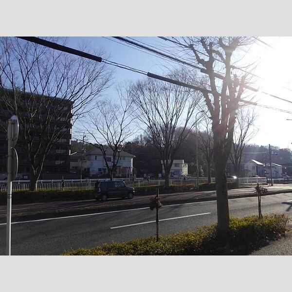 サニーフラット103号室 周辺