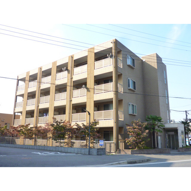 アンプルール フェール COCOの外観画像