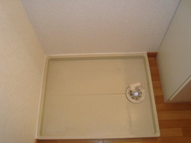 ルミナス青葉203号室 洗濯機置場