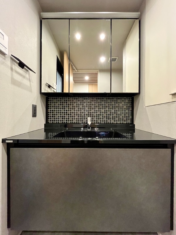 レジディア水道橋8階 洗面