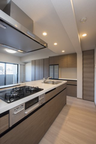 DIPS墨田RIVERSIDE203号室 キッチン