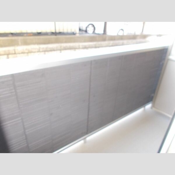 クレインリング丸山台102号室 バルコニー