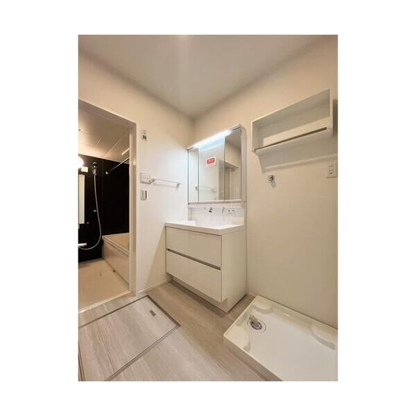 日野市多摩平5丁目戸建C号室 洗面