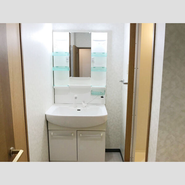 パレ・ドール港南台102号室 洗髪洗面化粧台
