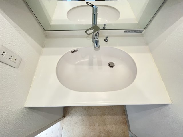 グラントゥルース東向島502号室 洗面