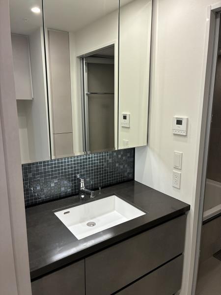 プレミスト代々木大山 洗面