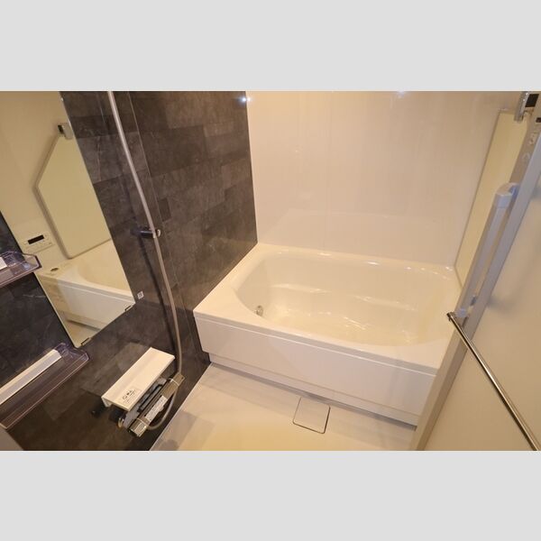 THE RejuvePort KISARAZU0703号室 浴室