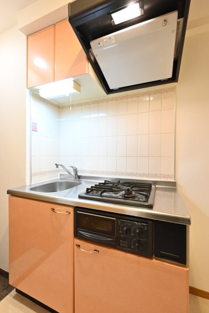 ルーブル多摩川弐番館 キッチン