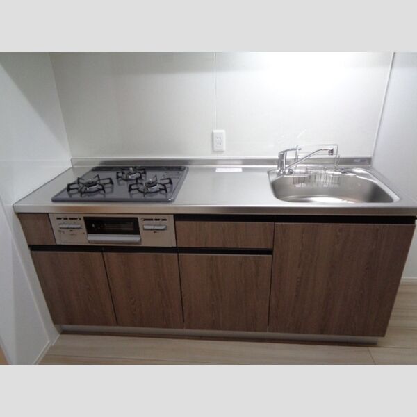 エスペランサ蒲田102号室 102号室　システムキッチン