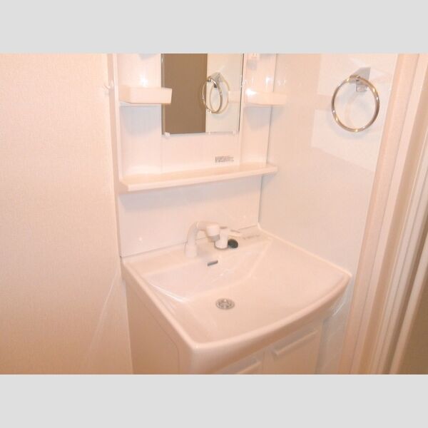 ハイネスCDFE　E102号室 洗面台