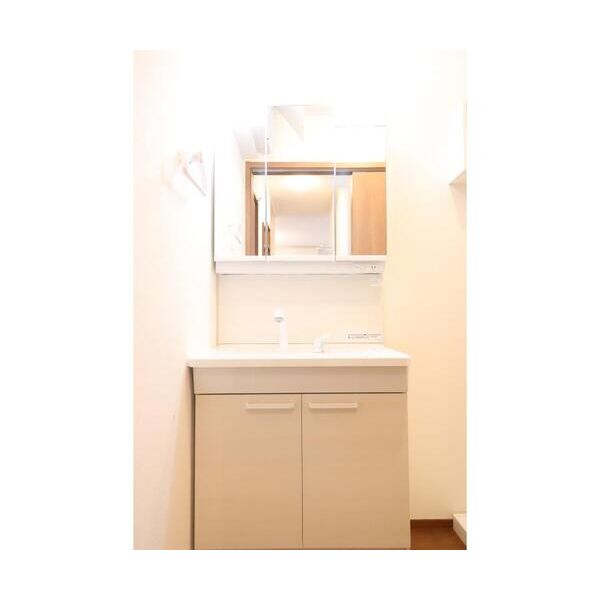 西新井栄町2丁目戸建1号室 洗面