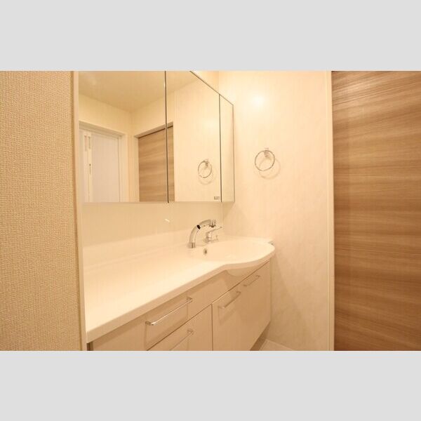 アヴェール205号室 洗髪洗面化粧台