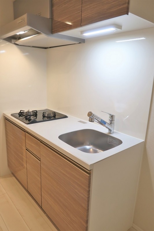 ロイジェント大山西町1階 キッチン