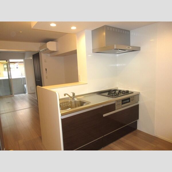 エクセリア徳丸Ⅰ202号室 キッチン流し台