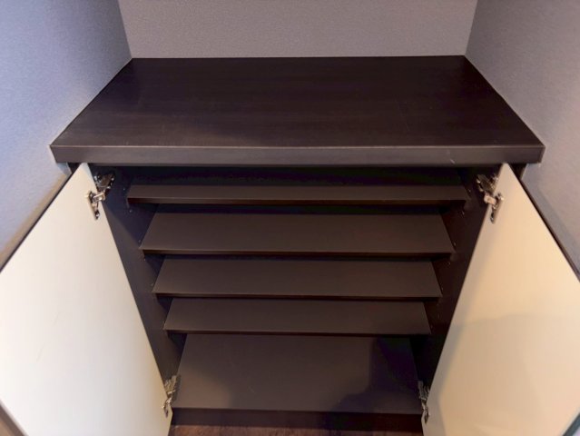 NIKKEIMARKS902号室 収納