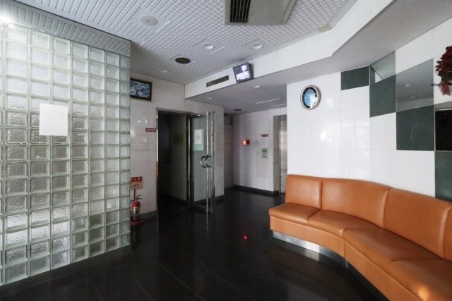 新丸子ダイカンプラザシティ205号室 エントランス