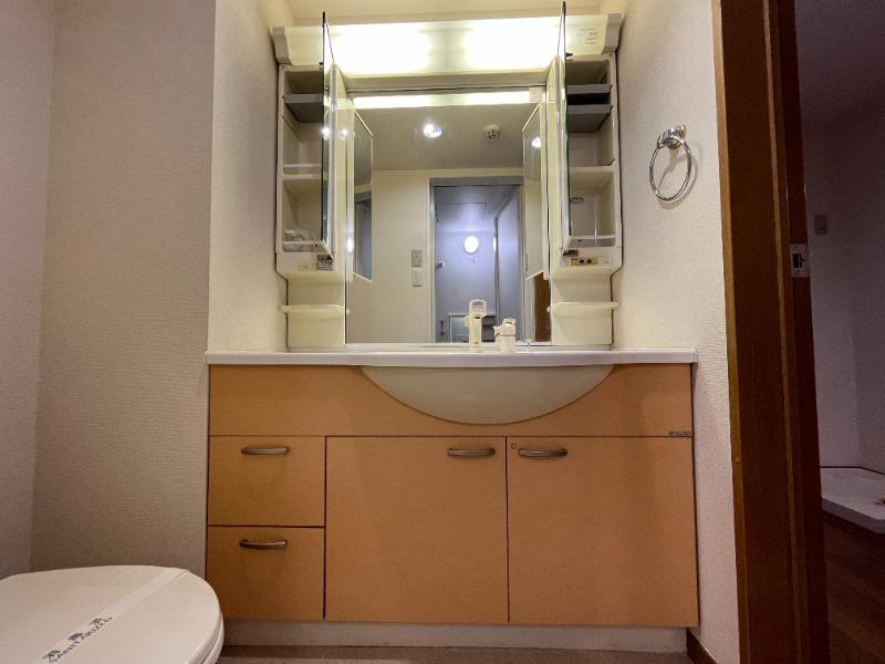 リッツ一番館 洗面