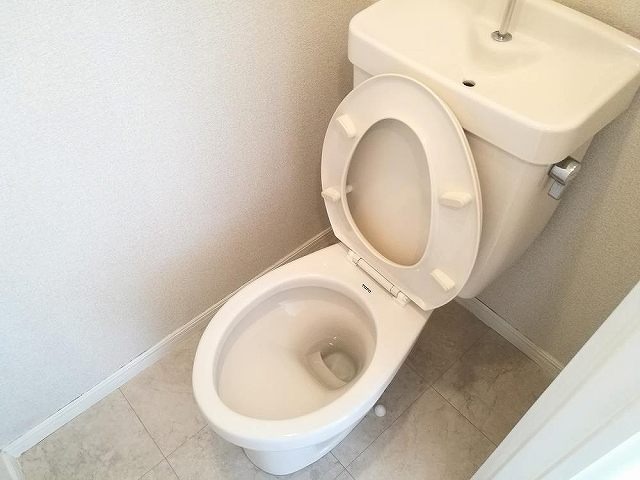 アゼリア宮田(K-076)2階 トイレ