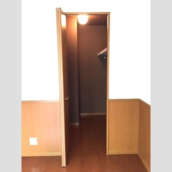 レジデンツ藤　C103号室 シックなカラーのクロスが落ち着きを感じます  ウォークインクローゼット