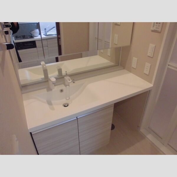 PLUM　VILLAGE312号室 洗面化粧台