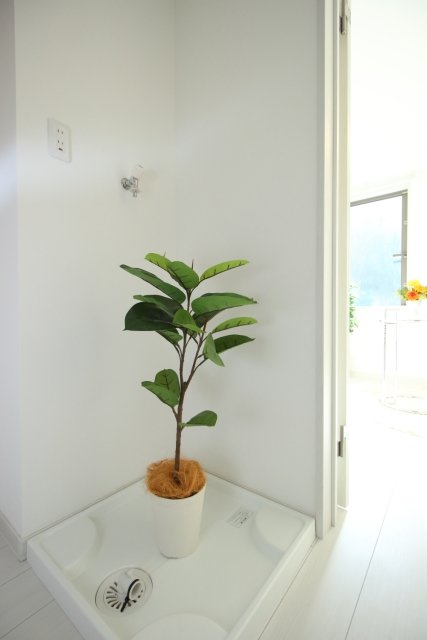 ラクシス田端2階 室内洗濯機置場　※室内設置の家具・小物はイメージです。※