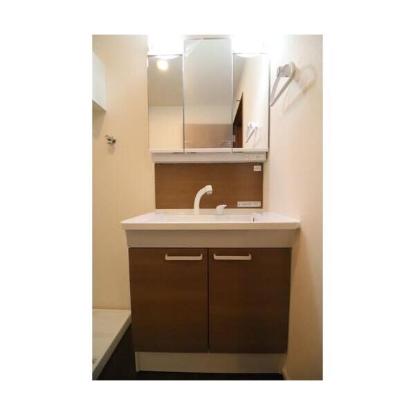 Camino鷺沼B号室 洗面