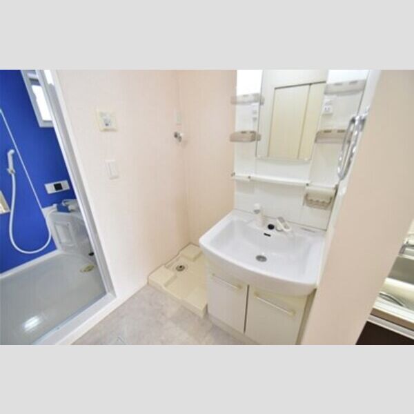 ハイネスA202号室 洗面室