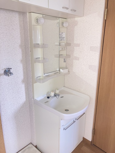 田中マンション0103号室 洗面