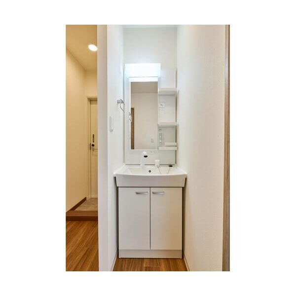 グランドールヤマグチ303号室 洗面