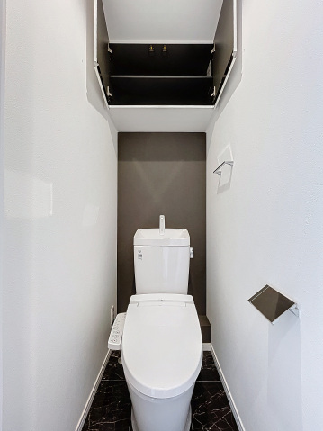 スカイルーチェ浦和401号室 トイレ