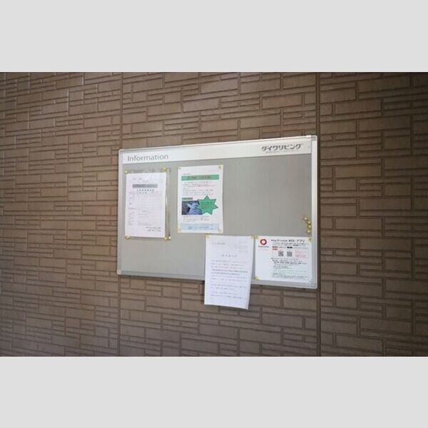 グレイス 掲示板