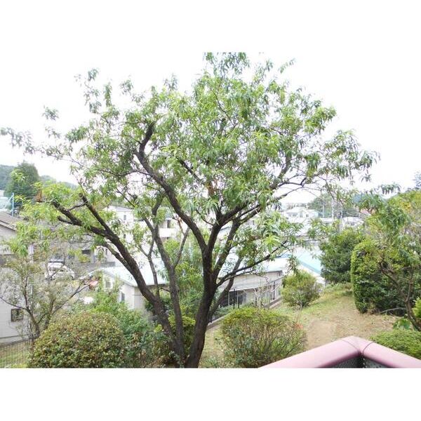 サントピアK202号室 部屋その他