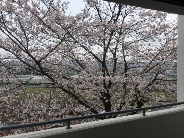 コートハウス藤ヶ丘0205号室 展望