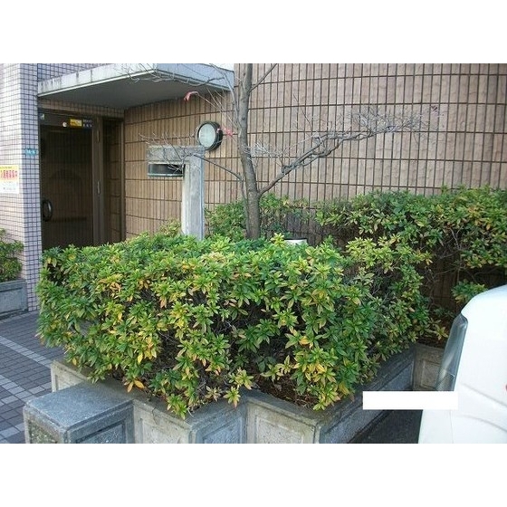 ＢＩ　ＣＡＳＴＬＥ　ＮＡＫＡＮＯ1階 外観