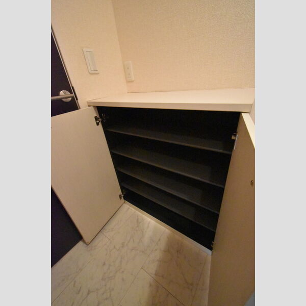 ドミール・フジ 収納