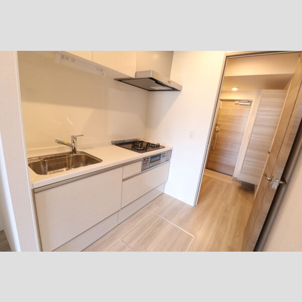 D-Sereno下藤沢102号室 システムキッチン