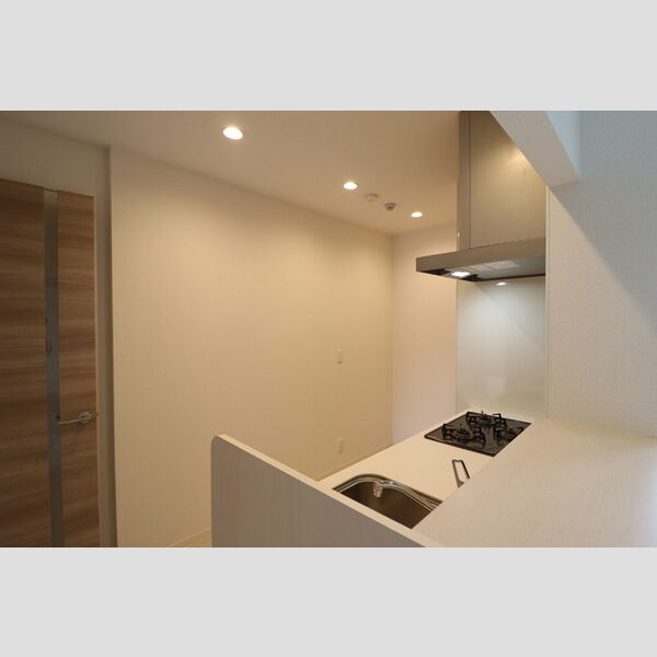 セレスティア東四つ木Ⅱ303号室 照明