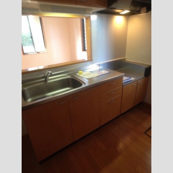 Green Forest聖蹟B102号室 キッチン