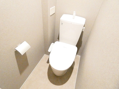 ルミケオ大手町 トイレ