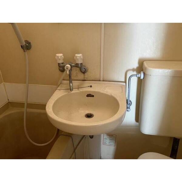 メゾン・ド・エトレーヌ0708号室 洗面